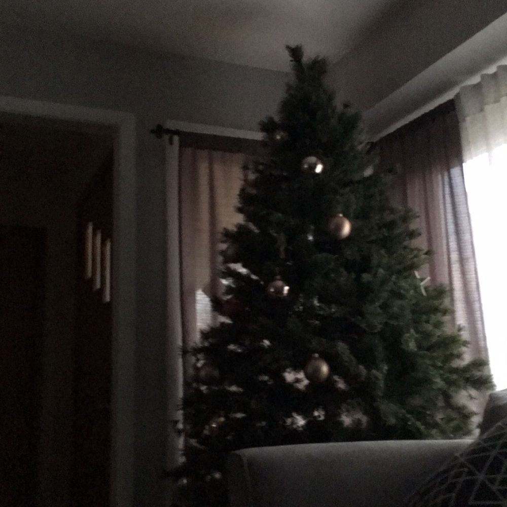 Meet your Posher, Frederick